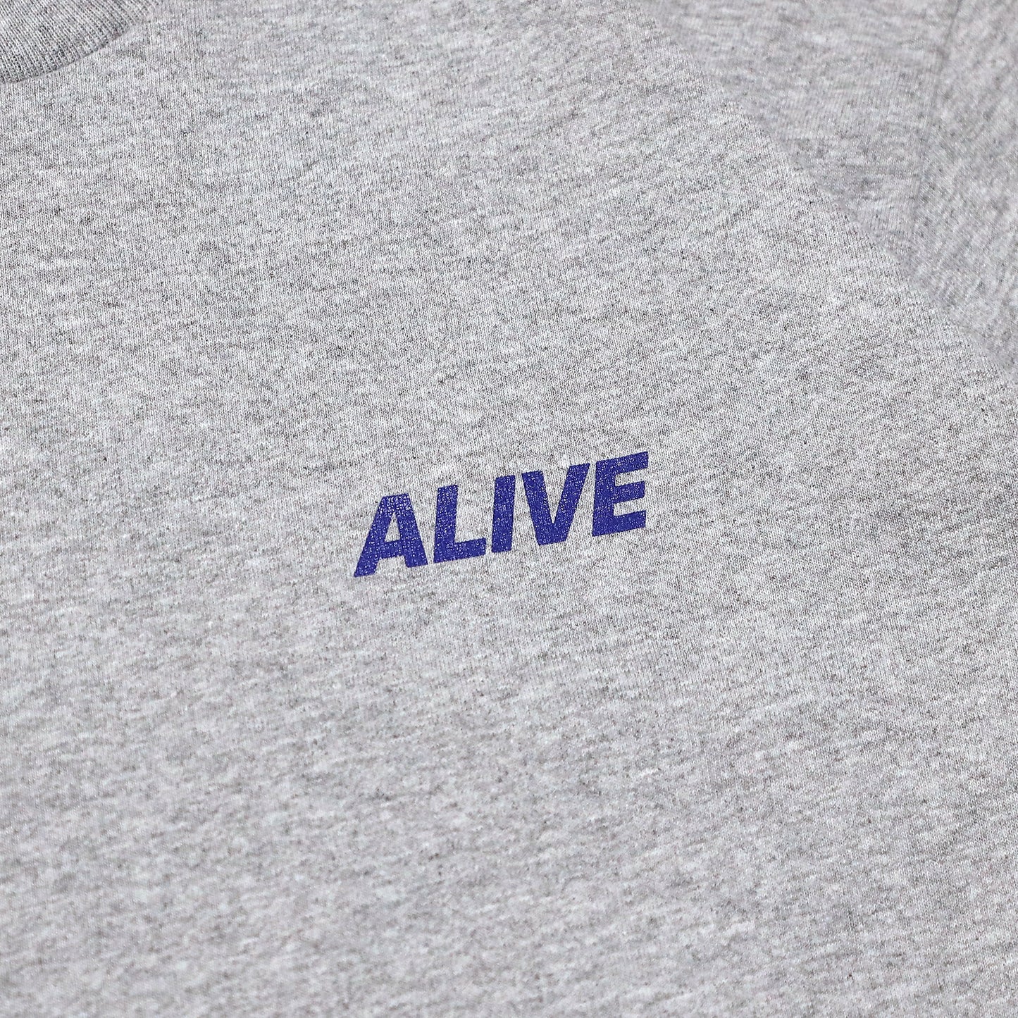 ALIVE INDUSTRY - 22 Logo LS T-Shirt/Grey