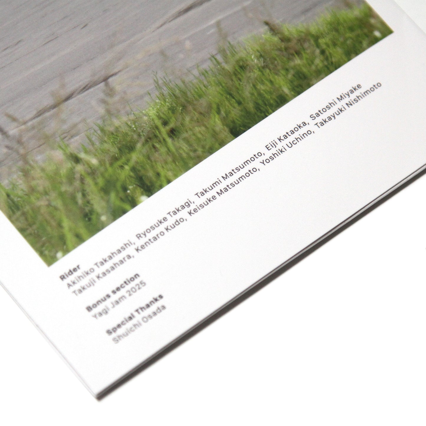 JIMALOG - GROUND FLOUNDER DVD