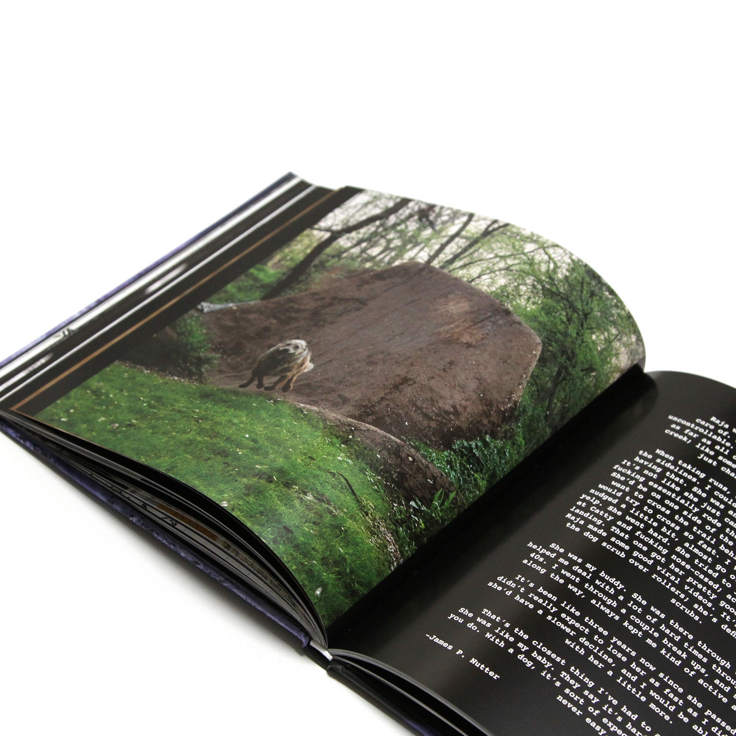 MAINTAIN - IV.V "DERAILED" Book &amp; DVD