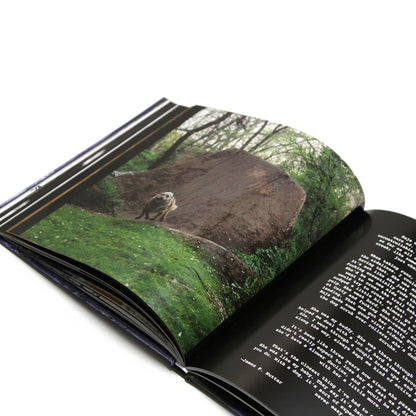 MAINTAIN - IV.V "DERAILED" Book &amp; DVD