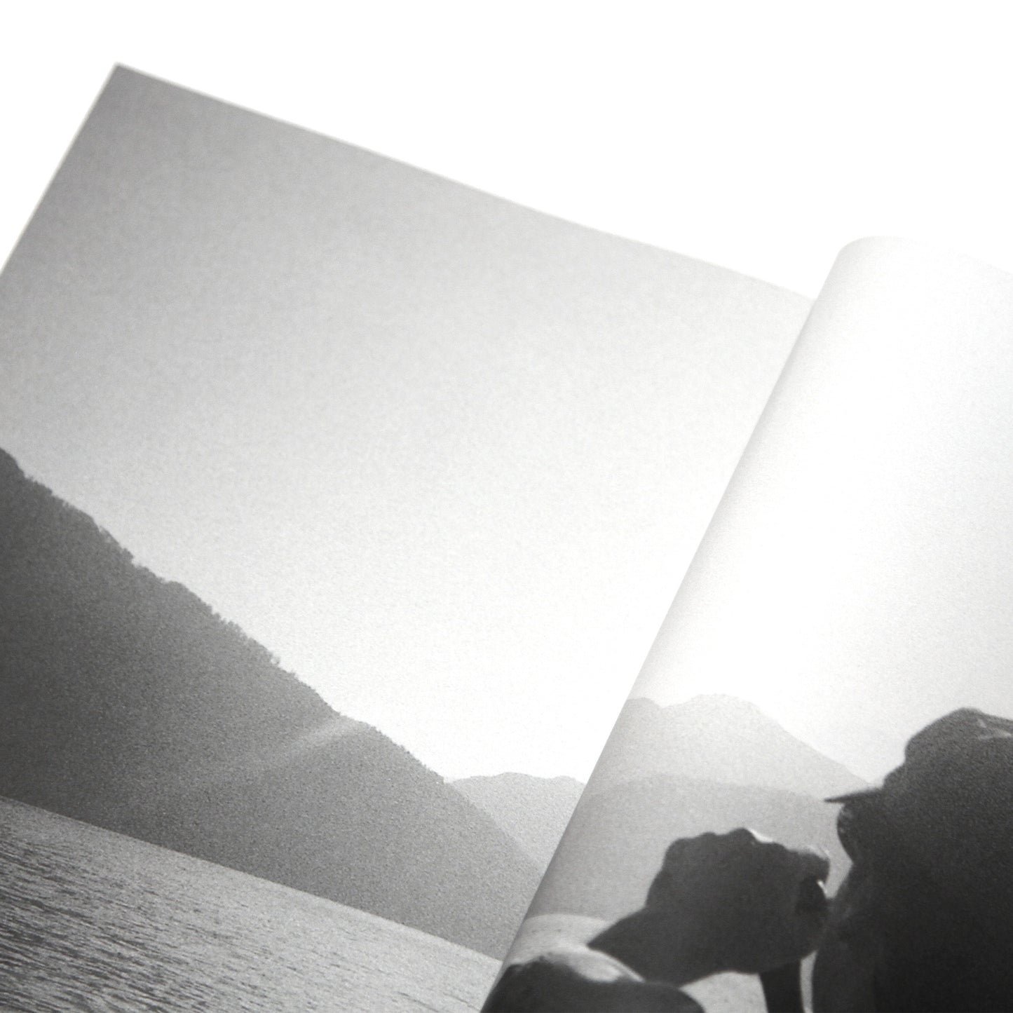 Ryoya Tajima - Schizo Parano