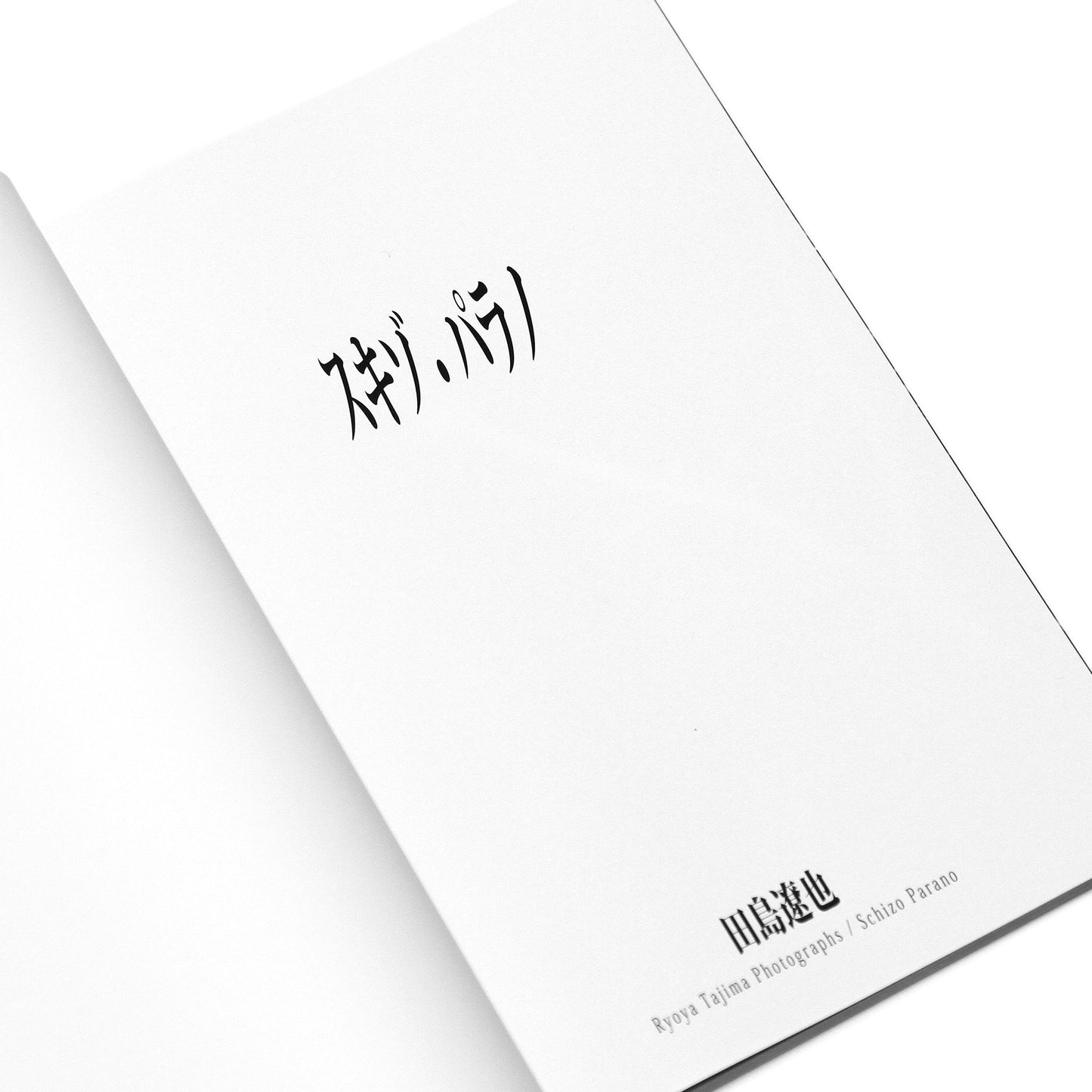 Ryoya Tajima - Schizo Parano