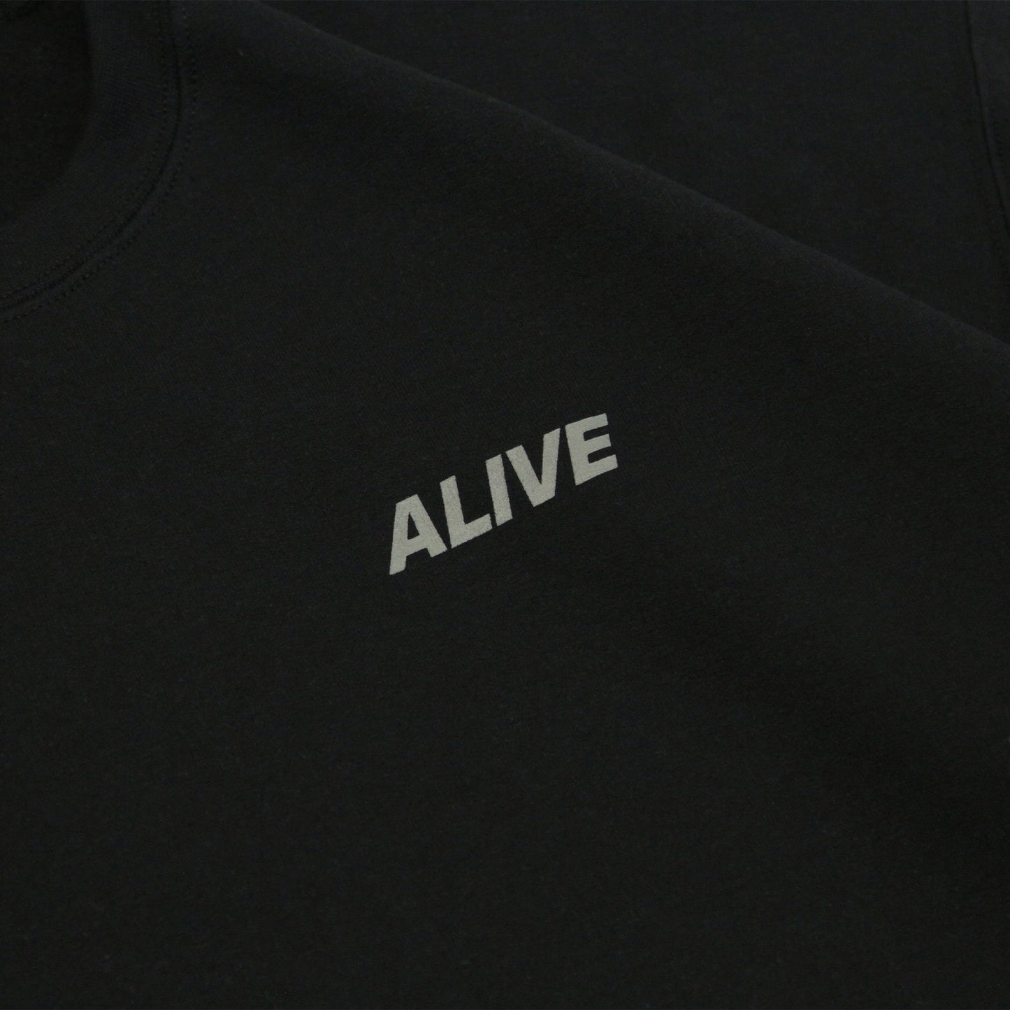 ALIVE INDUSTRY - 22 Logo Sweatshirt/Black